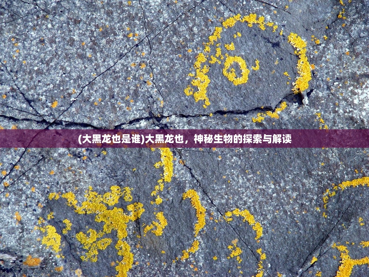 (青空之刃什么时候上线正式服)青空之刃上线日期揭秘，期待已久的新游戏何时与我们相遇？