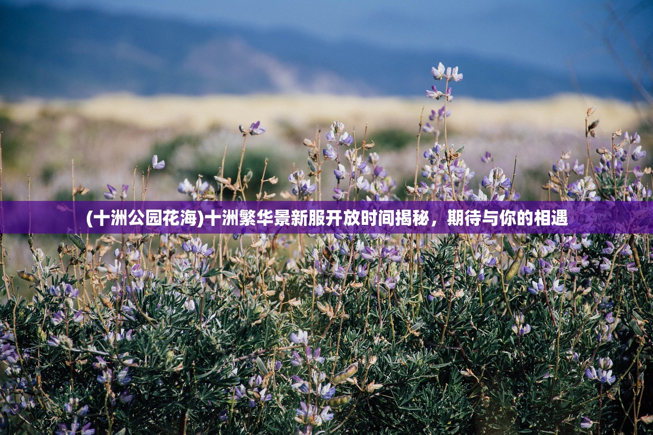 (神将防盗门价格表2023)神将防盗门价格表及其深度解析