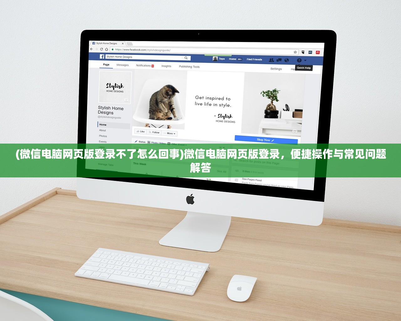 (萌宠贝贝)萌兽贝贝小组件攻略大全及常见问题解答