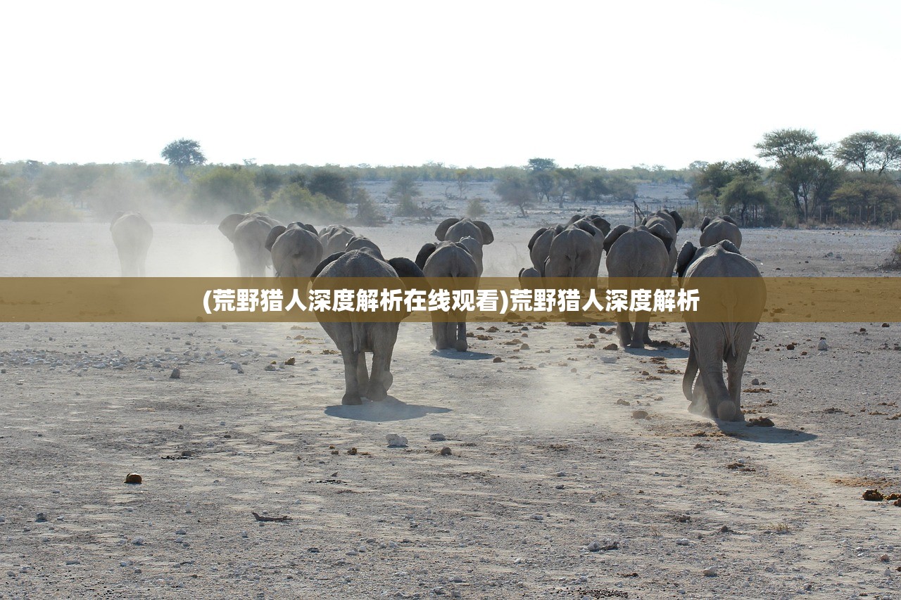 (西游神传官网)西游神传无尽塔406攻略大全——全方位指南与常见问题解答