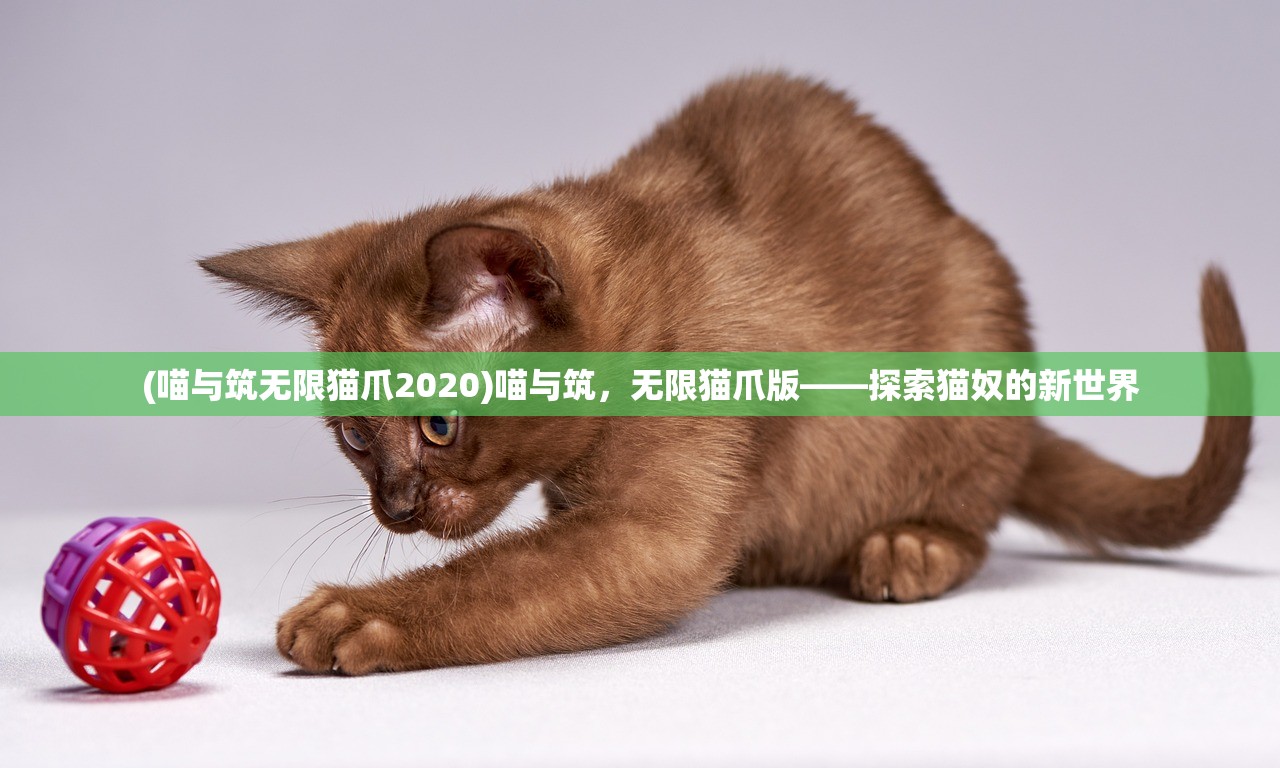 (屠龙战神手游官网)屠龙战神手游版，战神归来，挑战巨龙