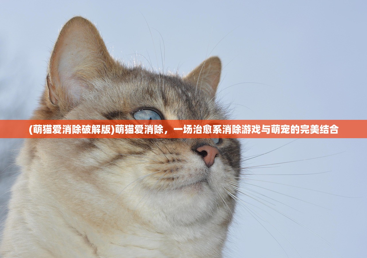 (圣光大陆是个什么地方)圣光大陆的神明境界，探索神秘领域的深度与广度