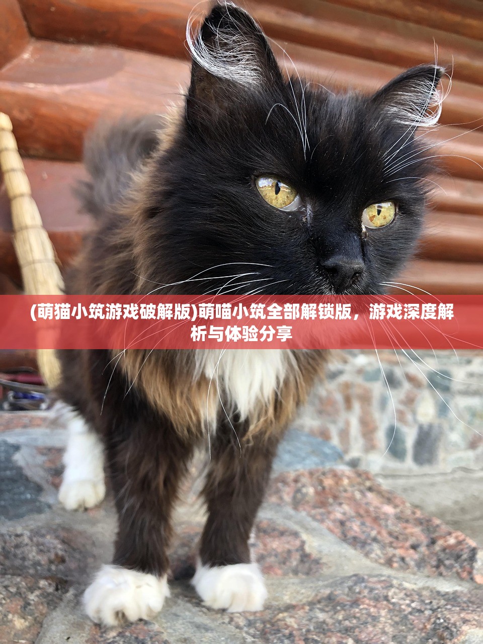 (寻侠 攻略)寻侠攻略之探秘王语嫣，武侠世界中的智慧女神