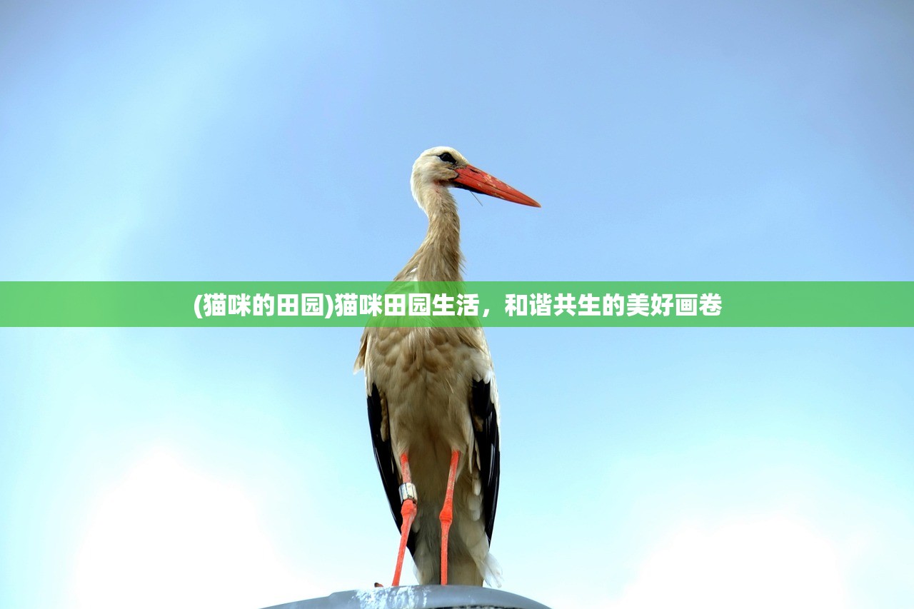 (无尽冬日英雄等级排名吉娜)无尽冬日英雄等级排名解析