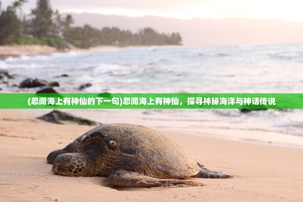 (荣耀战魂新英雄僧兵)荣耀战魂新英雄，引领战斗风潮的未知勇士