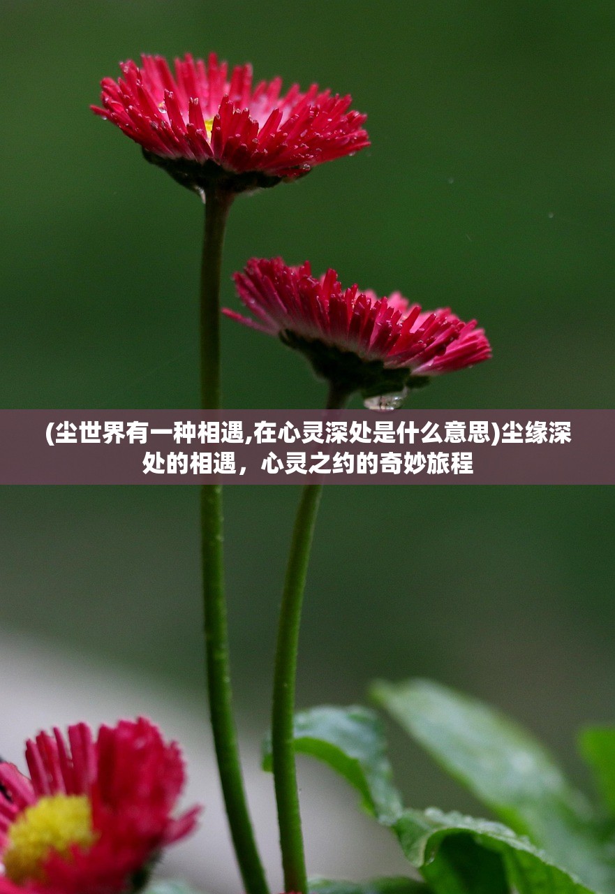 (逆袭女仙 小说)逆袭仙女，从平凡到辉煌的蜕变之路
