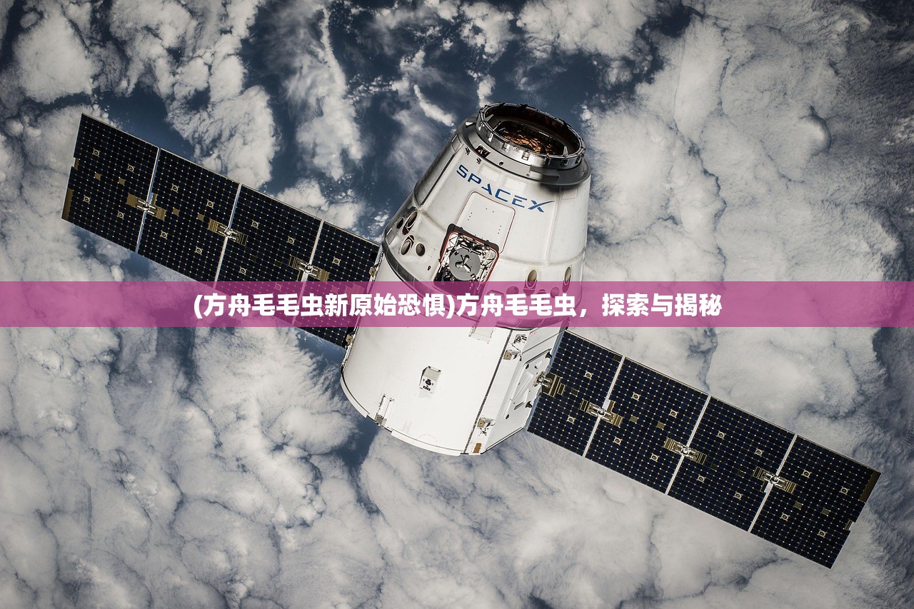 (王师逐鹿最佳阵容搭配图片)王师逐鹿最佳阵容搭配策略，深度分析与探讨