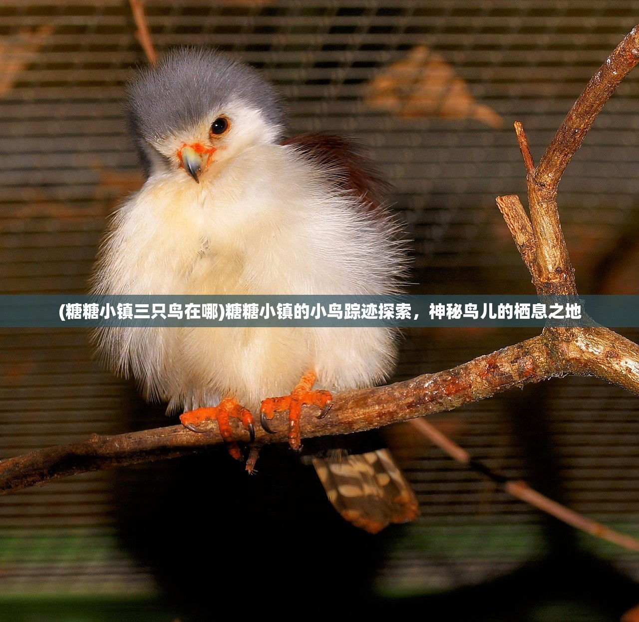 (激乐神秘传奇兑换码)激乐神秘传奇，探寻元神职业之巅峰战力
