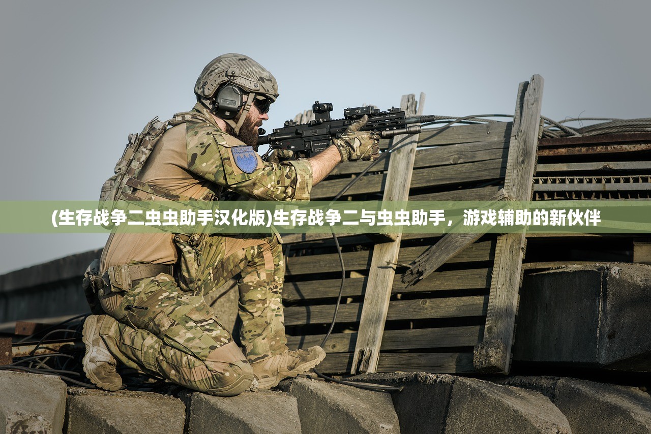 (魔界骑士英格斯特动漫在线观看)魔界骑士英格斯特动漫，深度解析与常见问题解答
