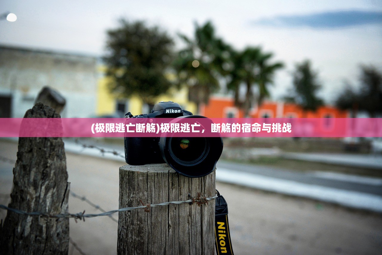 (喵酱cv百度百科)喵酱物语卡通壁纸，梦幻与现实的交融