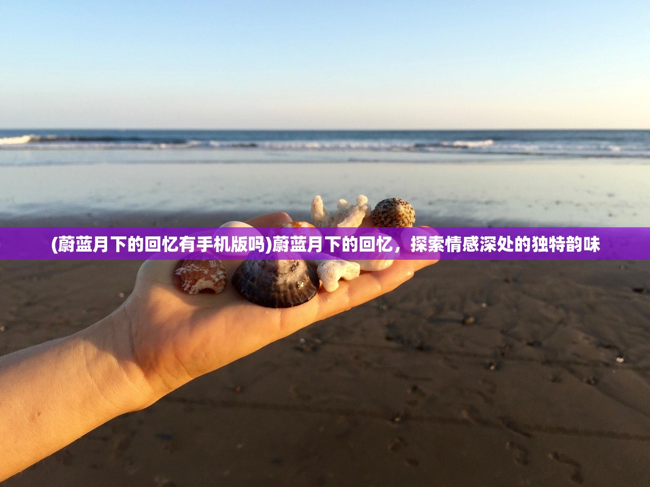 (真龙英雄攻略图文)真龙英雄攻略大全，从入门到精通