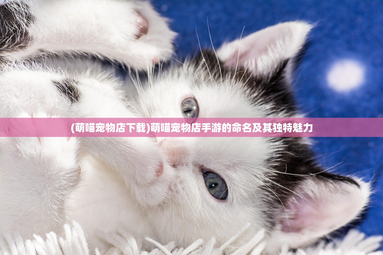 (进击的堡垒阵容怎么搭配好)进击的堡垒，最佳阵容搭配策略
