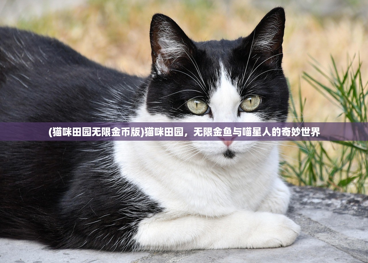 (蜘蛛侠破碎维度通关后干什么)蜘蛛侠破碎维度攻略第二关——穿越暗影的挑战