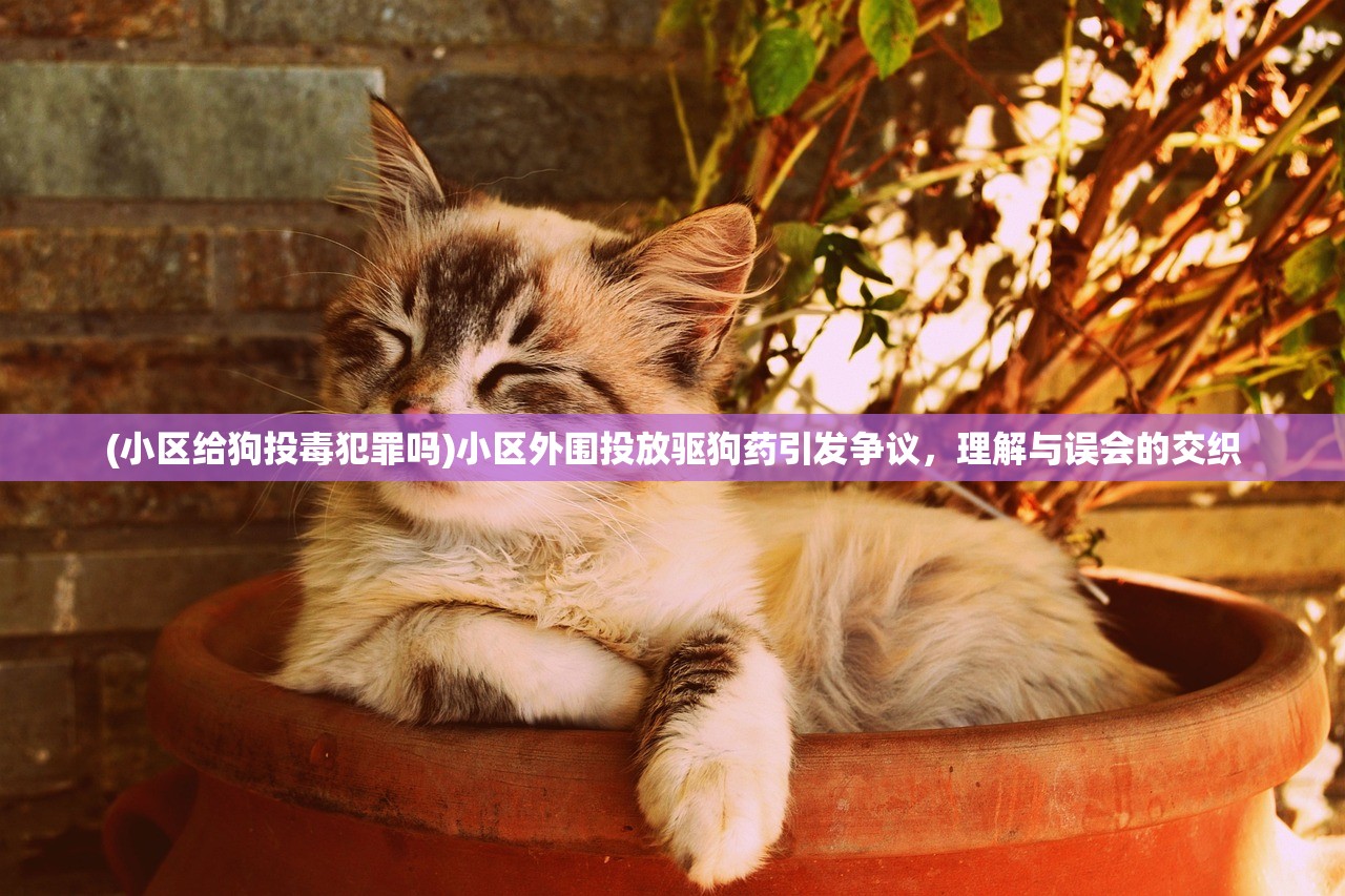 (阴阳师 事务所)阴阳师事务所游戏，深度探索与常见问答
