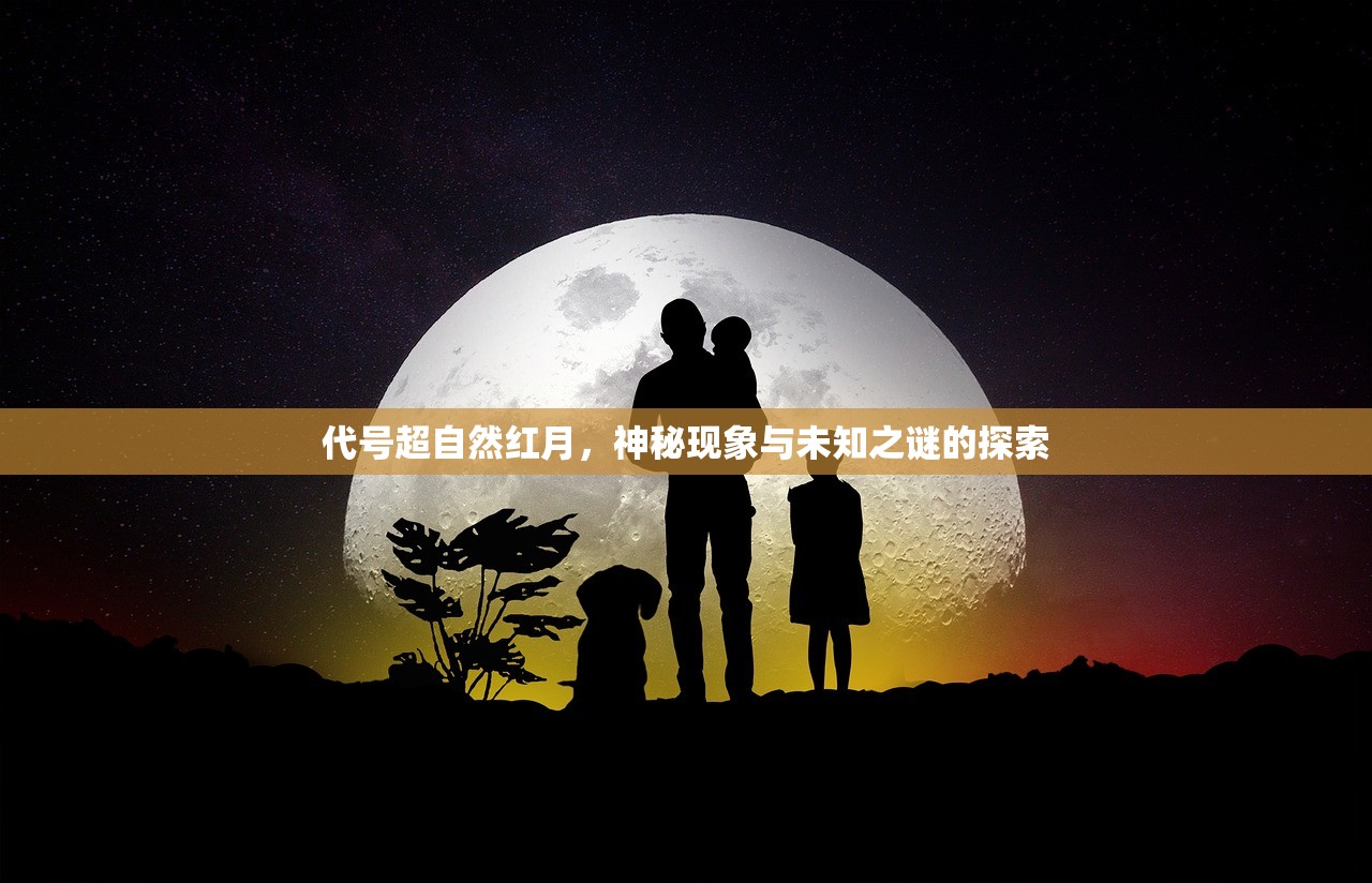 (不休战队哪个英雄比较厉害)不休战队英雄排行最新解析与探讨