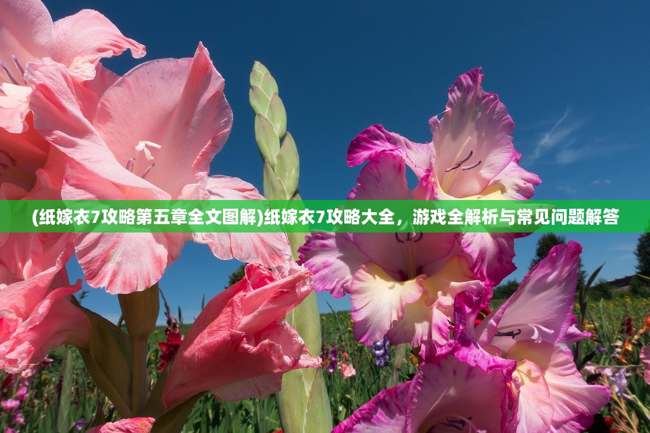 (我的足球小说)我的足球帝国，热爱、激情与梦想的舞台