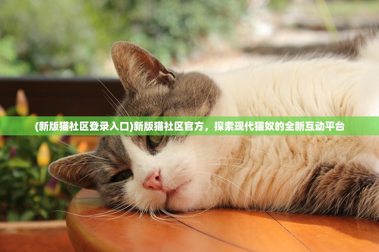 (恶魔之塔吧)恶魔之塔831MB版本更新详解与常见问答