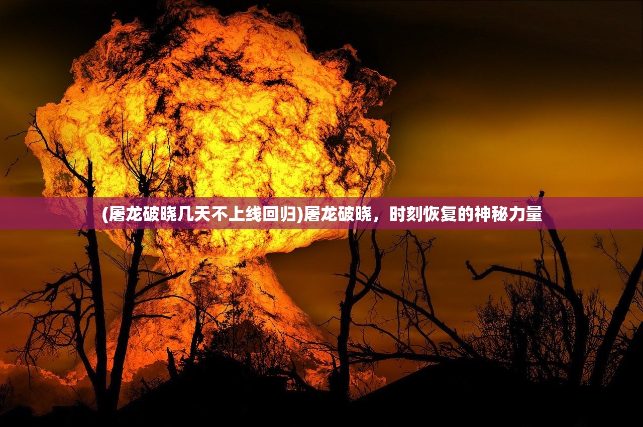 (无尽勇者传说英雄排行榜最新)无尽勇者传说，英雄排行榜的荣耀与挑战