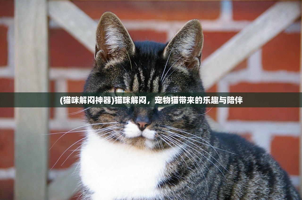 (俩脚踢翻尘世界,一肩挑尽古今愁)一肩挑尽千古愁，两脚踢翻尘世界，人生的重负与追求