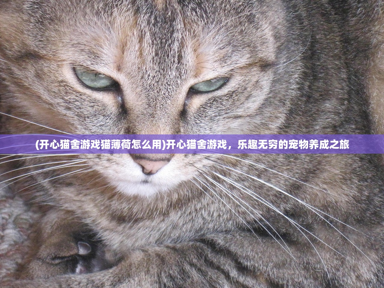 (零下记忆完美结局是什么)零下记忆结局数量探究，多重结局的深度解析