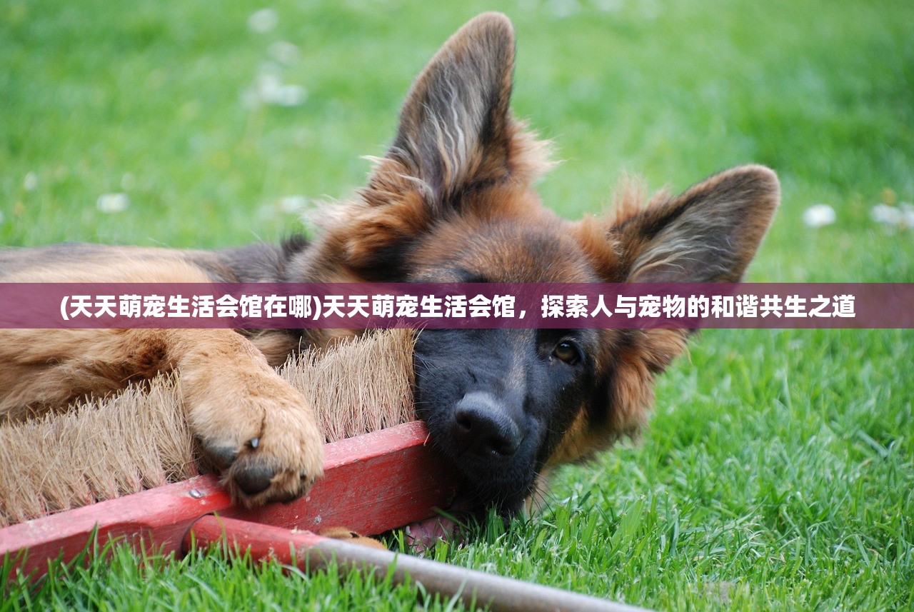 (仙侠第一放置3.0.4)仙侠第一放置，4399版本深度解析与体验分享