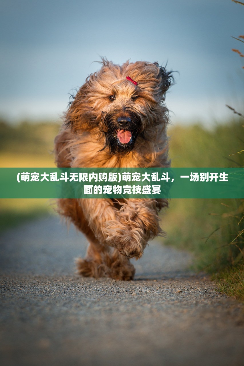 (女配藏拙低调的修真文无CP)女配藏拙，低调修真的传奇之旅