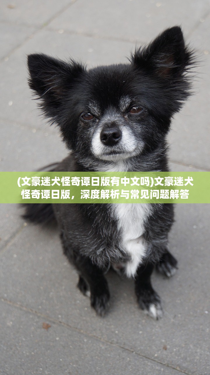 (海蛇传奇欢乐版攻略教学 新手应该怎么玩)海蛇传奇欢乐版攻略大全及常见问题解答