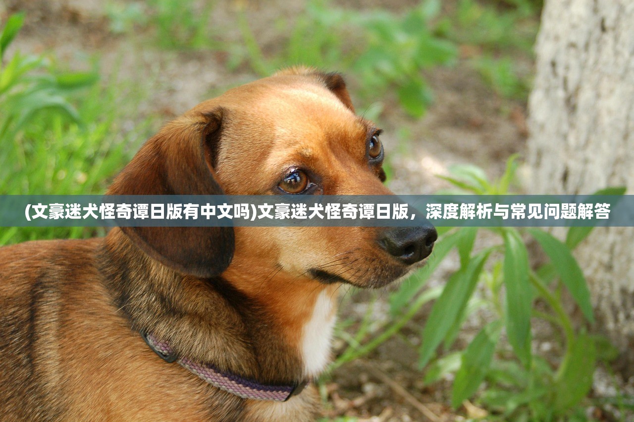 (女配藏拙低调的修真文无CP)女配藏拙，低调修真的传奇之旅