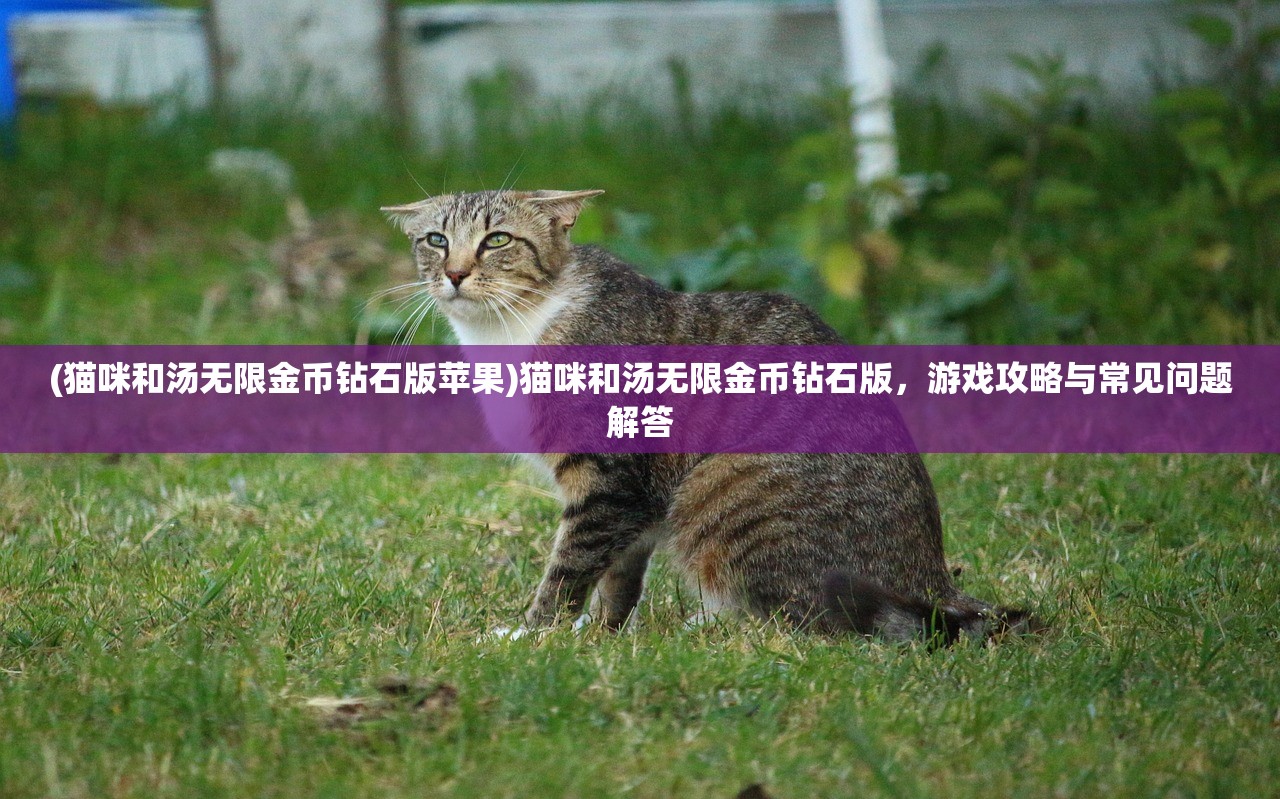 (霸世帝君 狼王至尊)霸世帝君，权力之巅的传奇人物