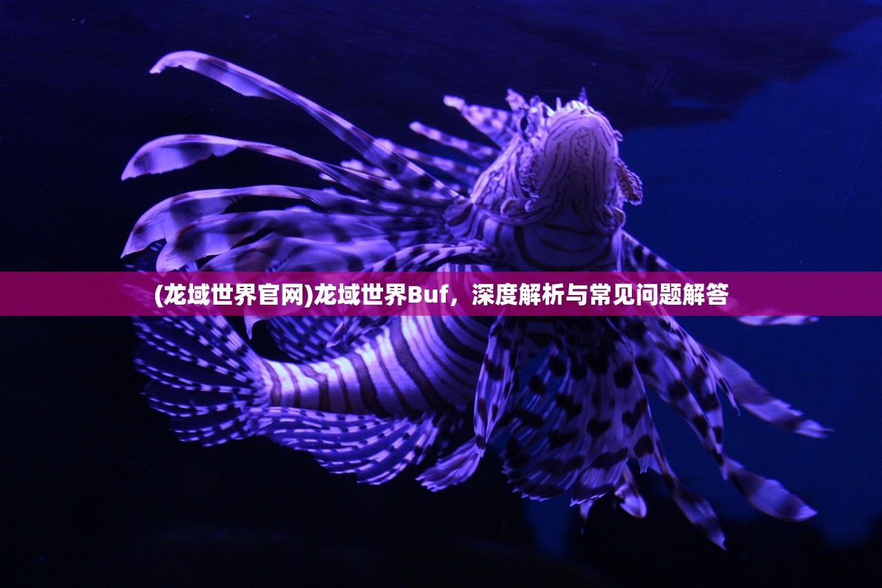 (虚无国度)虚无之国，探索未知领域的哲学思考