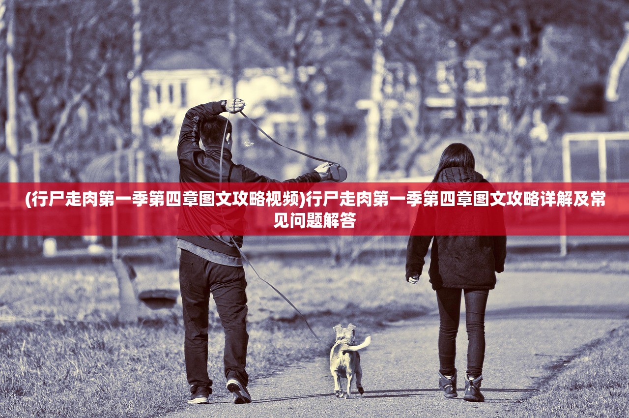 (神指三国游戏)神指三国应用消失，寻找原因与解决方案