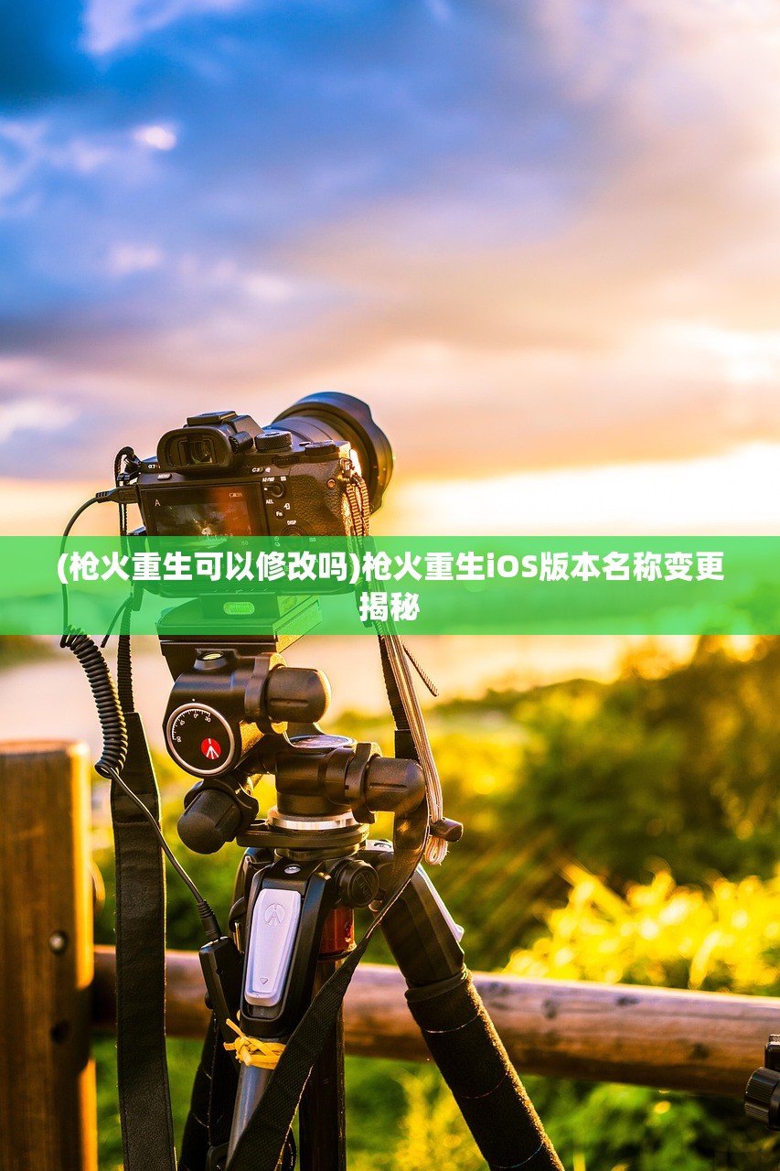 (戮天道全集)戮天截道无防盗，一种理念与技术的探讨