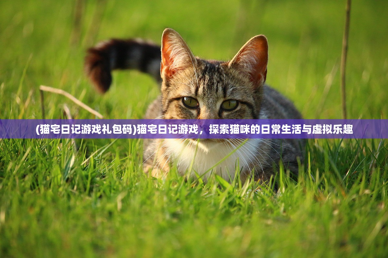 (傲世飞仙怎么样)傲世飞仙骗局揭秘，套路深度解析