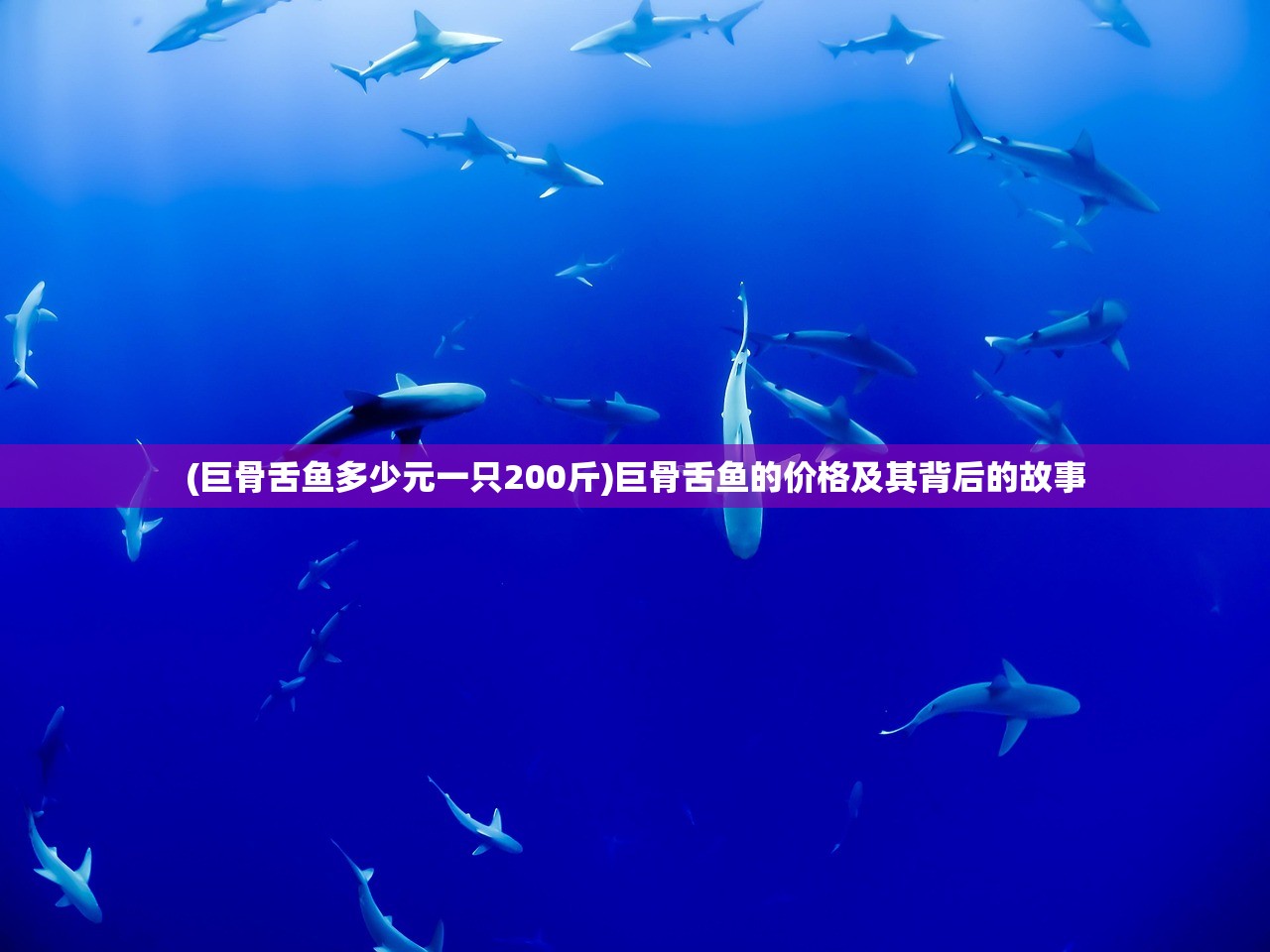 (仙魔圣域手游下载)仙魔圣域手游，奇幻世界的无尽探险