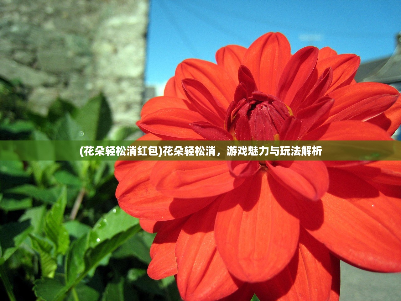 (阴阳师事务所怎么升级最快)阴阳师事务所升级攻略，提升你的事务所等级与实力