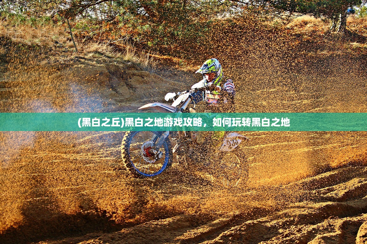 (仙灵觉醒飞羽技能)仙灵觉醒飞羽攻闪避流，策略与实战解析