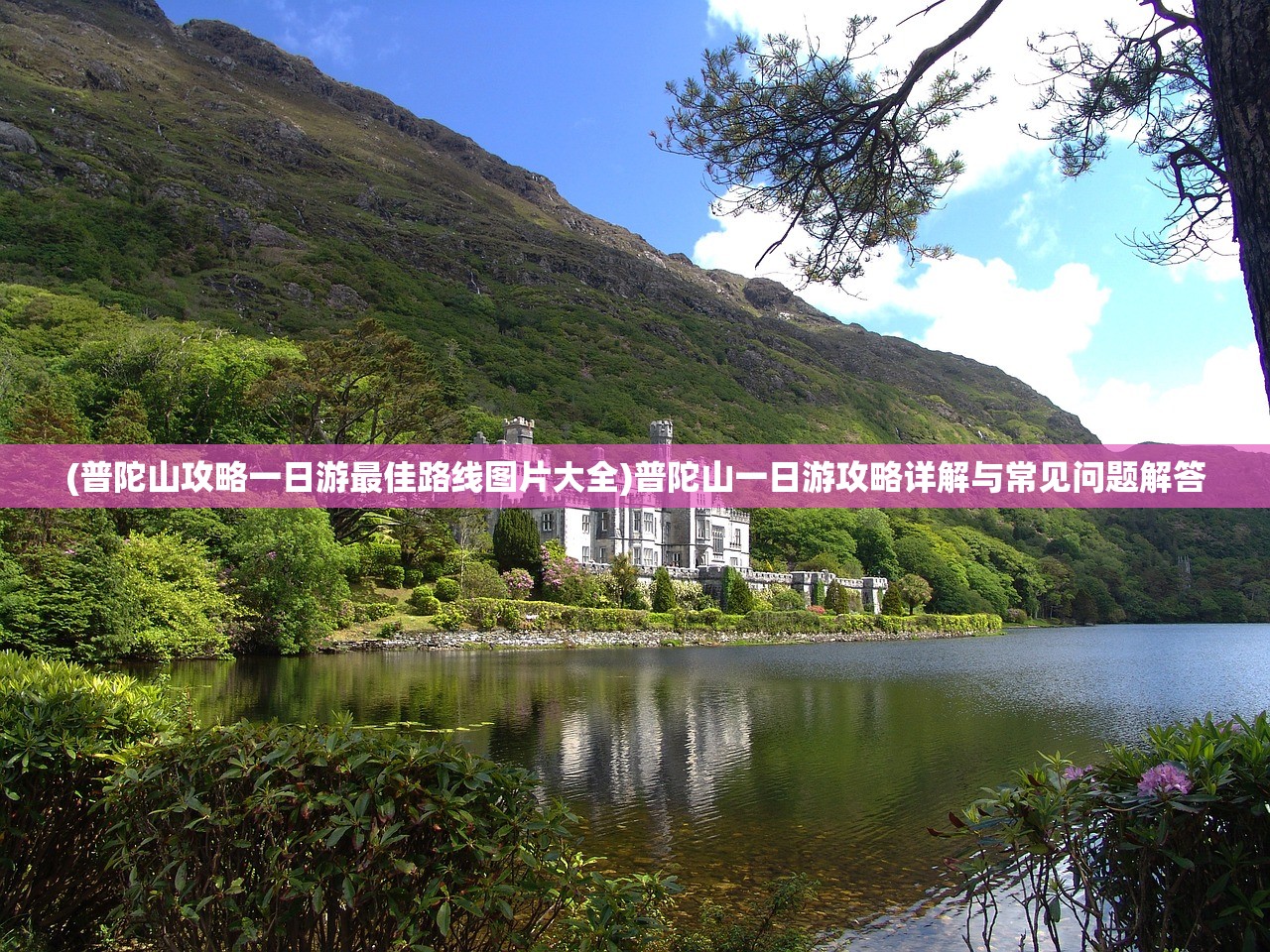 (我的仙侣有点凶免费阅读)我的仙术有点厉害，免广告，奇幻之旅启程