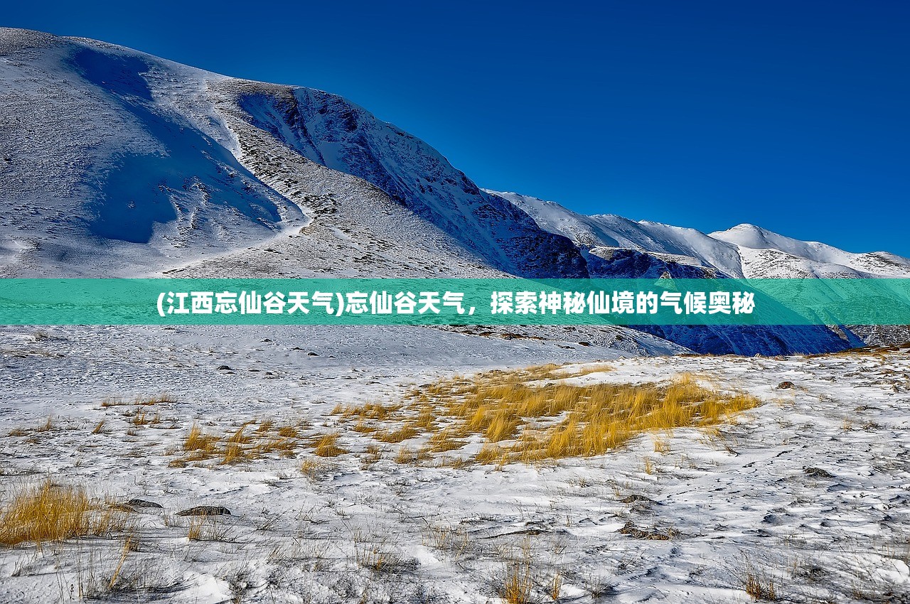 (暗黑主宰攻略大全)暗黑主宰攻略大全，游戏指南与常见问题解答