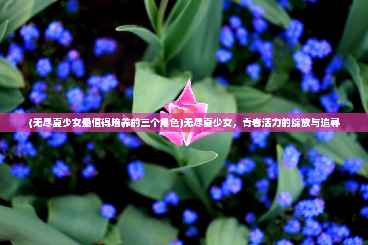 (奇异大陆突然下架了怎么回事)奇异大陆突然下架，探索背后的原因与未来展望