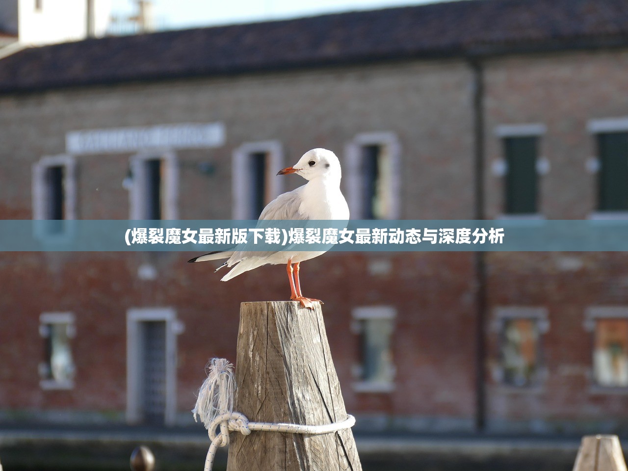 (聊斋随笔能卖到吗)聊斋随笔，古典文学的魅力与现代解读