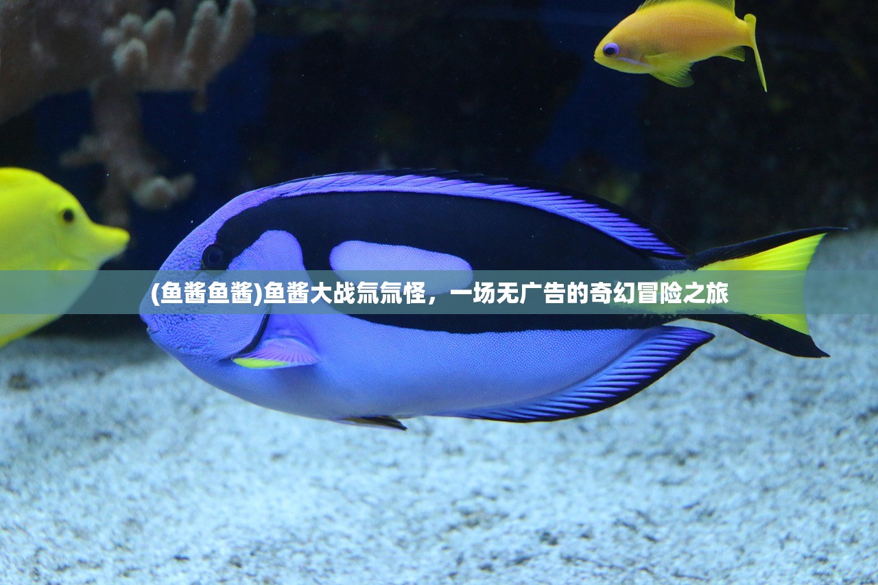 (战武部和一院一部区别)战武部与一院一部，协同合作推动多元发展