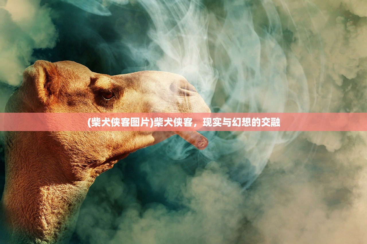 (空中战魂ol)空中战魂火凤凰单职业，探索与解析