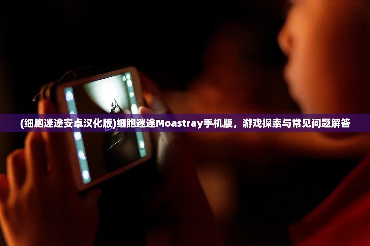 (守望先锋2国服什么时候回归)守望先锋2，全新升级的深度解析与常见问题解答