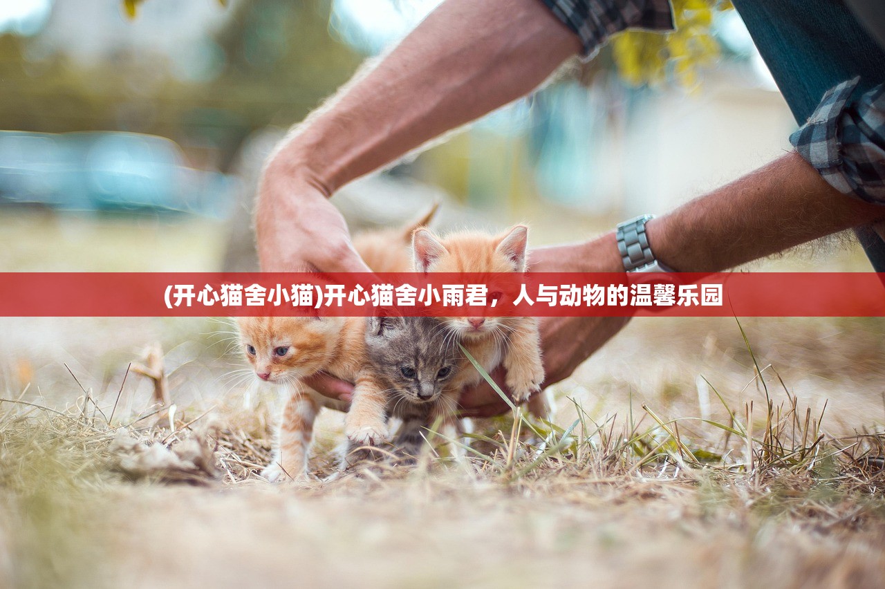 (三足鼎立是什么生肖最佳答案)三足鼎立与生肖的奇妙关联