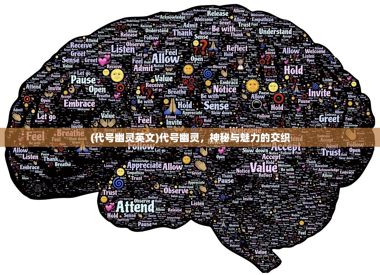 (龙皇传说超变单职业一键拾取)龙皇传说超变单职业，深度解析与探索