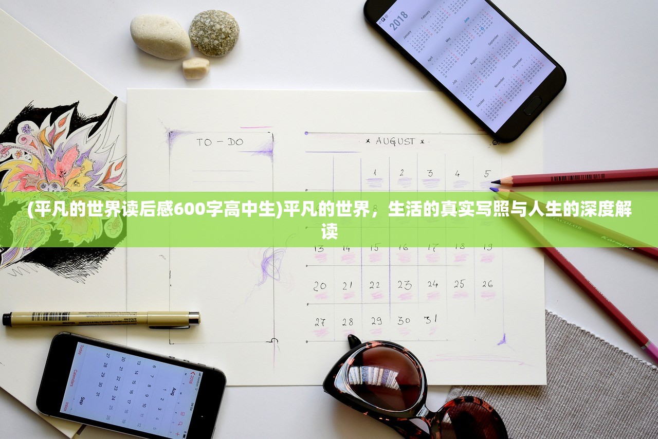 (闪骑侠官网)闪骑士设置说明书最新版详解及常见问题解答