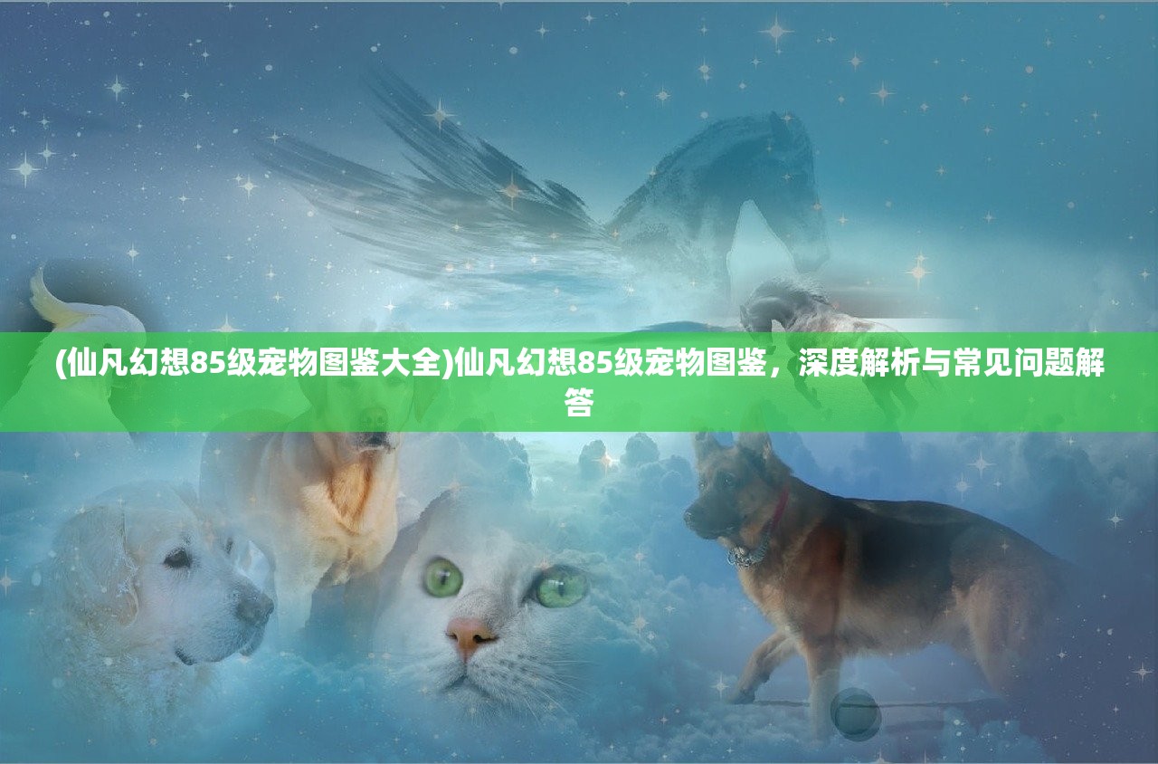 (侠道游歌 steam)侠道游歌修改器的深度解析与常见问题解答