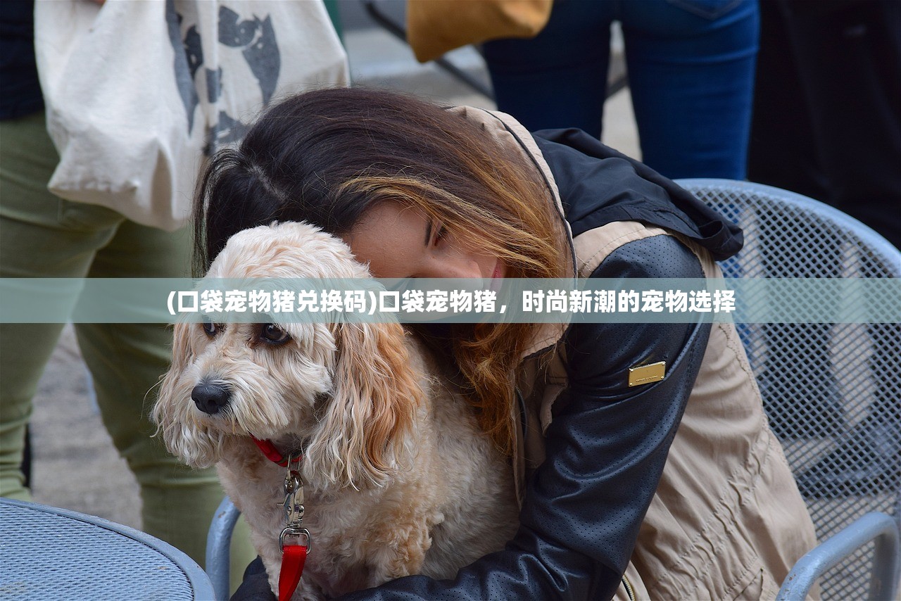 (电脑无法关机一直转圈圈)电脑无法关机一直转圈，原因解析与解决方案