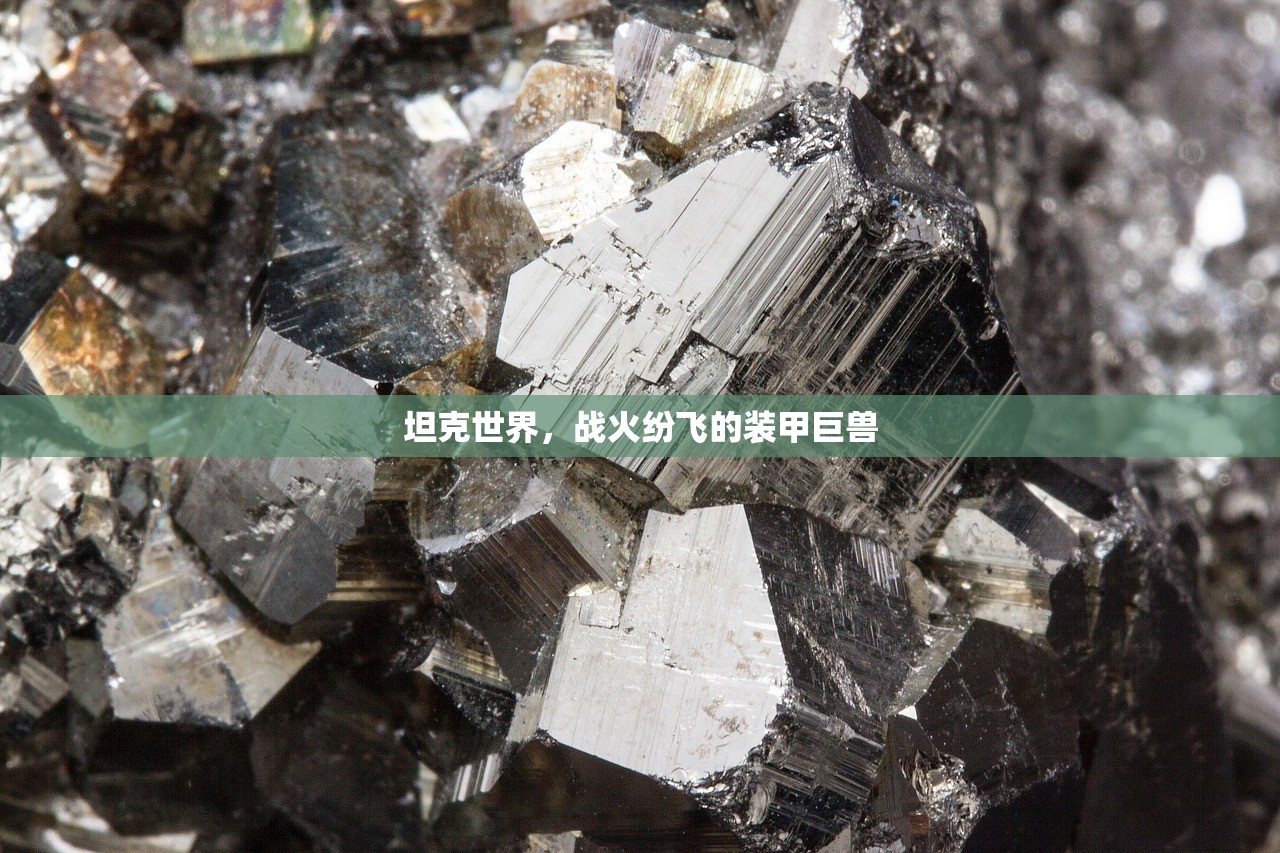 (精灵盛典黎明攻略详解与攻略详解)精灵盛典黎明攻略详解及常见问题解答