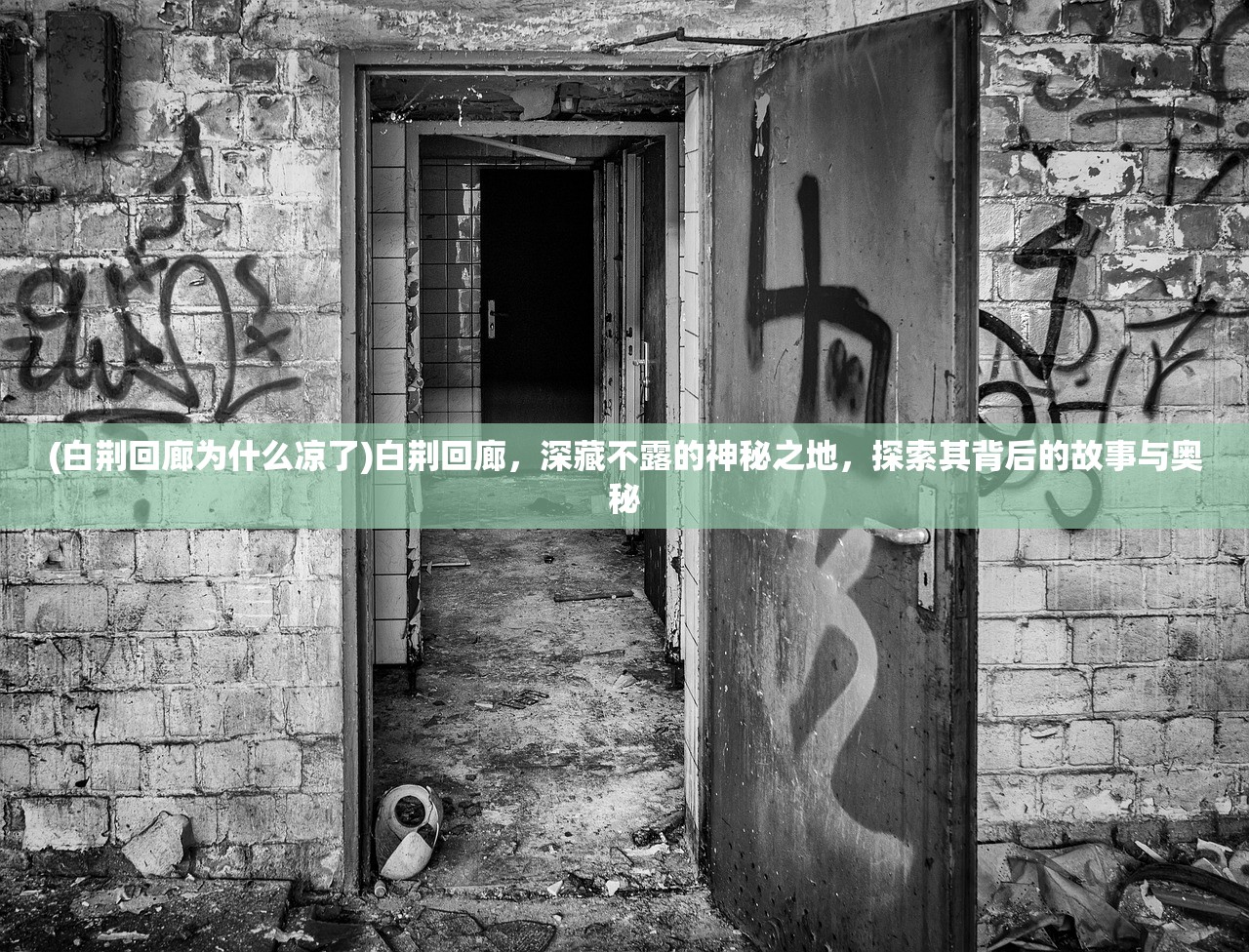 (星偶官方)星偶是否卷钱跑路深度解析